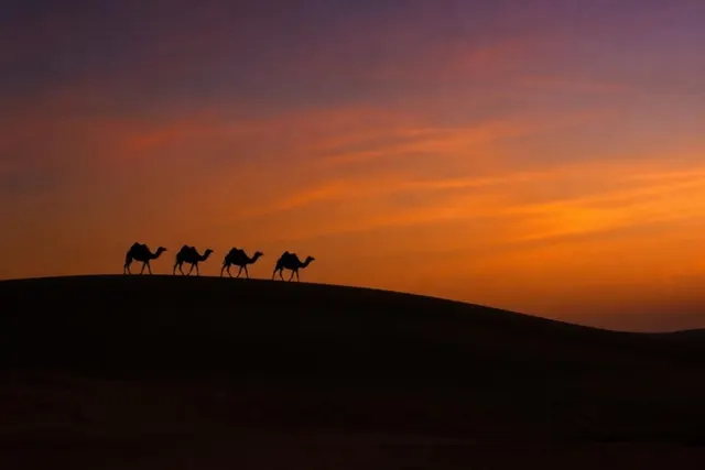 Caravan at Dusk